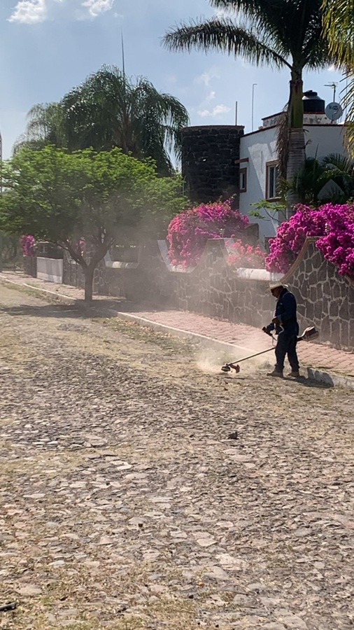 Jardinería